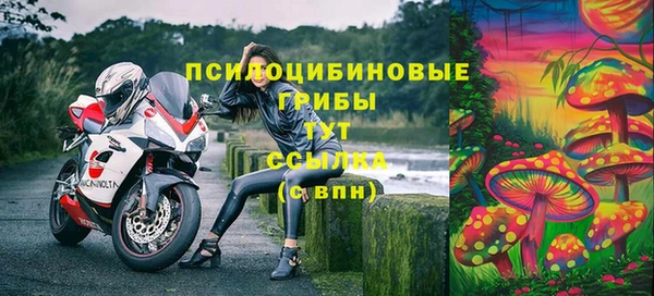 стафф Бугульма