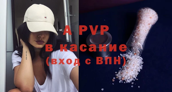 дмт Бородино