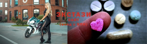 дмт Бородино