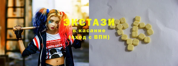 дмт Бородино