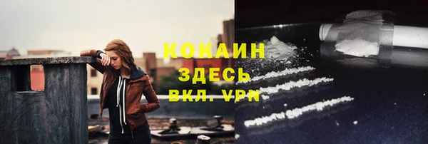 дмт Бородино