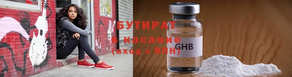 дмт Бородино