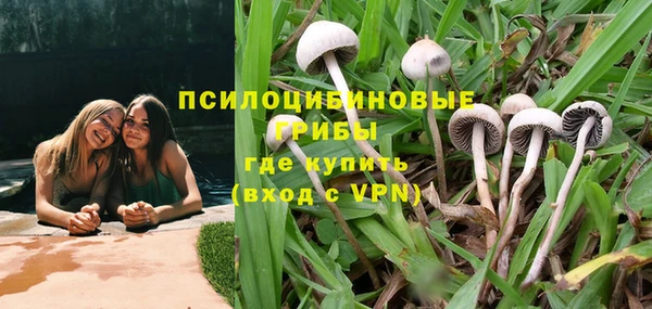 трава Богородицк