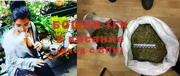 дмт Бородино