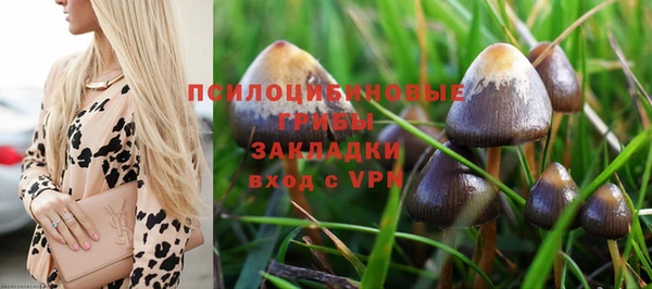 стафф Бугульма