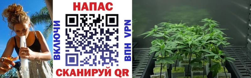 Марихуана VHQ Кириши